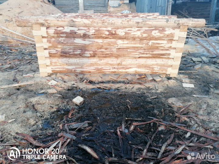 Сруб бани из липы