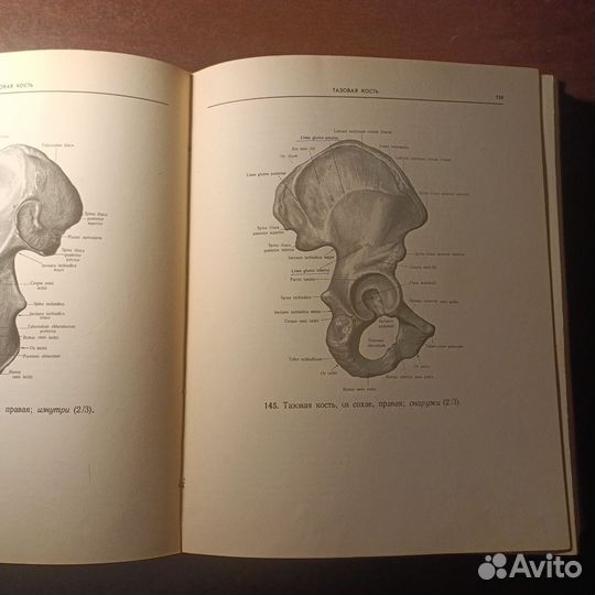 Атлас по анатомии Р. Д. Синельников 1 том