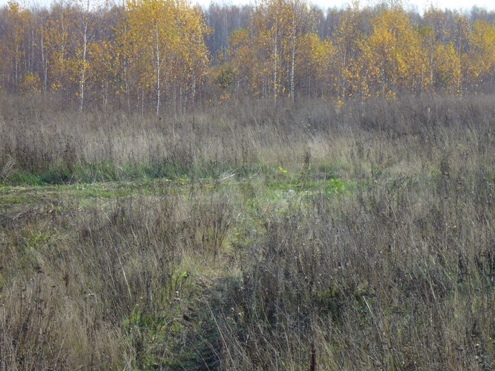 Участок 7,2 га (СНТ, ДНП)
