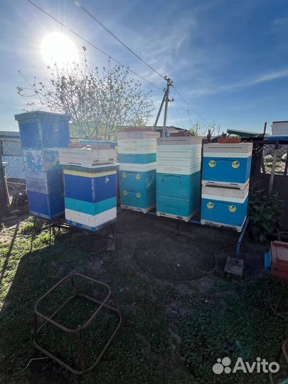 Ульи для пчел