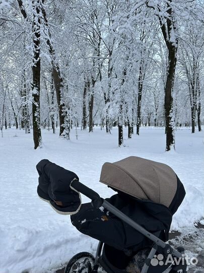 Коляска Tutis Leo 2 в 1