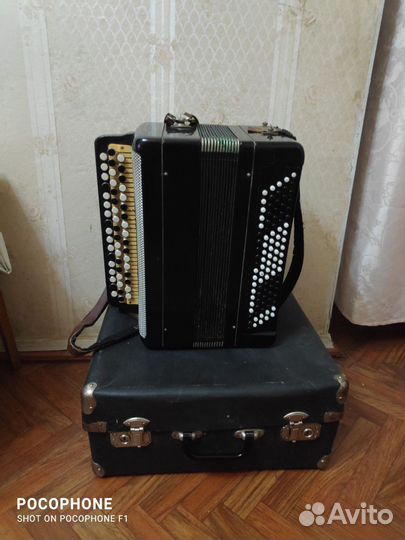 Баян тульский