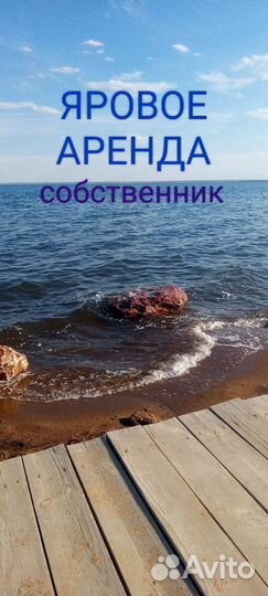 Деловые услуги