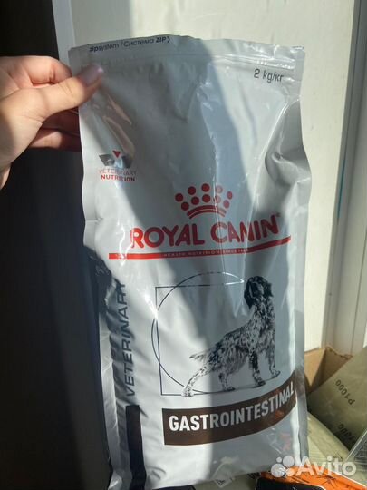 Сухой корм для собак royal canin