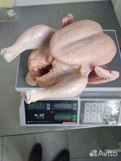 Мясо Бройлера