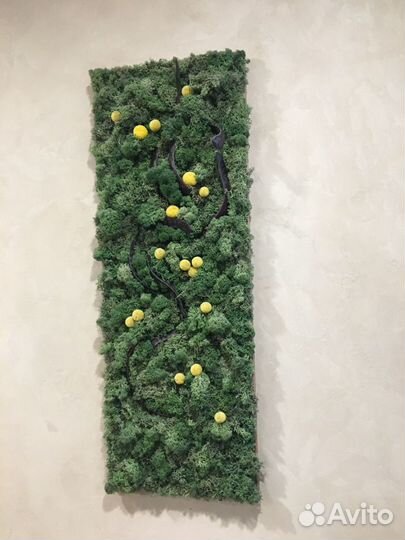 Пано из стабилизированного мха