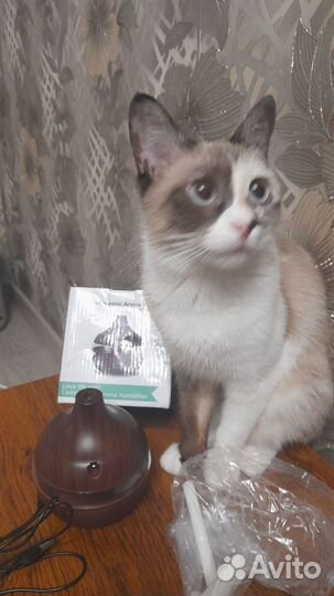 Увлажнитель воздуха