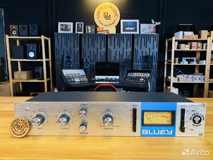 Black Lion Audio bluey