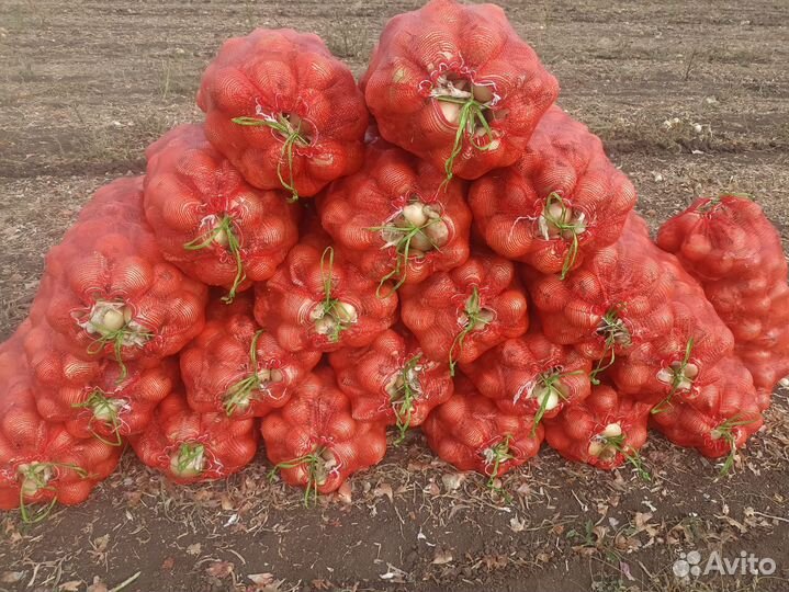 Продам картофель,лук,перец болгарский