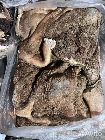 Рубец говяжий, субпродукты говяжьи