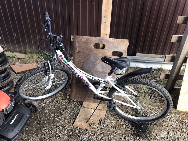 Горный (MTB) велосипед Top Gear Mystic 110