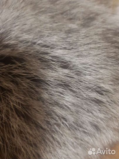 Меховой воротник чернобурка