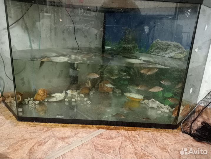 Аквариум