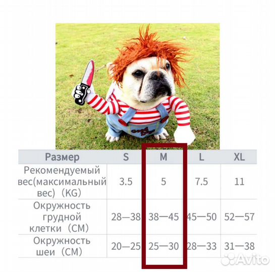 Костюм для собаки Новый