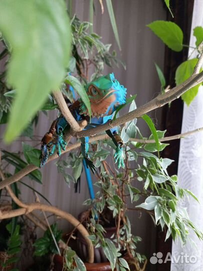 Улыбчивый ручной геккончик игрушка