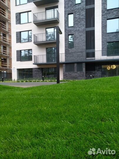 Рабочий на укладку газонов и посадку деревьев