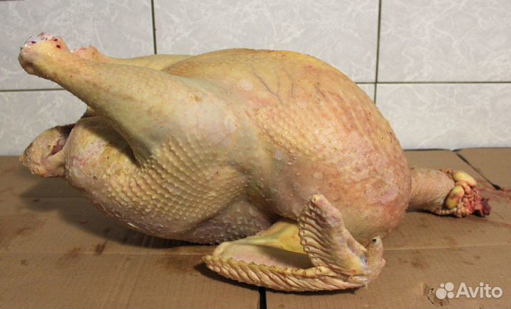 Мясо индейки