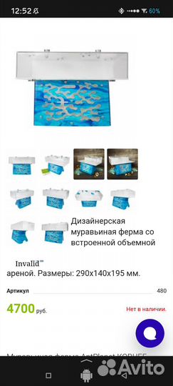 Муравьиная ферма с муравьями