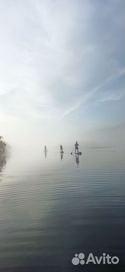 Аренда сапов Красноярск