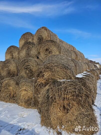 Солома в рулонах