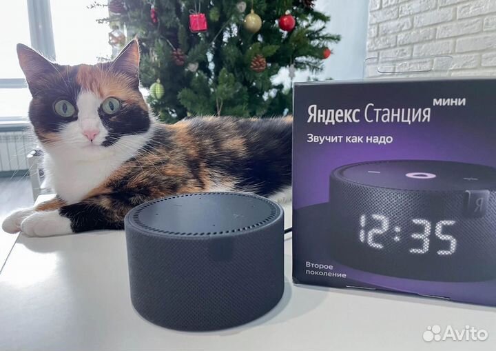 Яндекс станция мини с часами