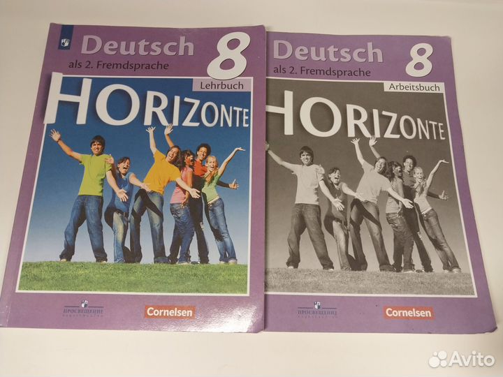 Немецкий язык Horizonte 8 класс