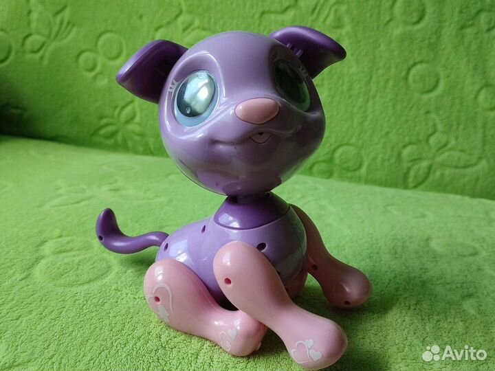 Littlest Pet Shop