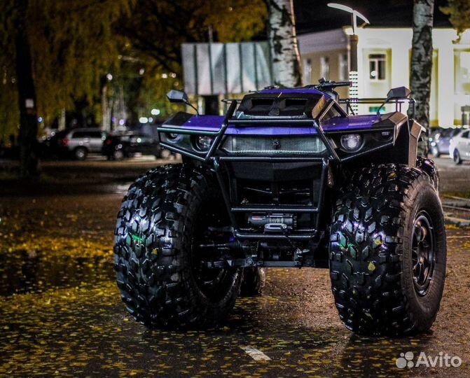 Вездеход, снегоболотоход 