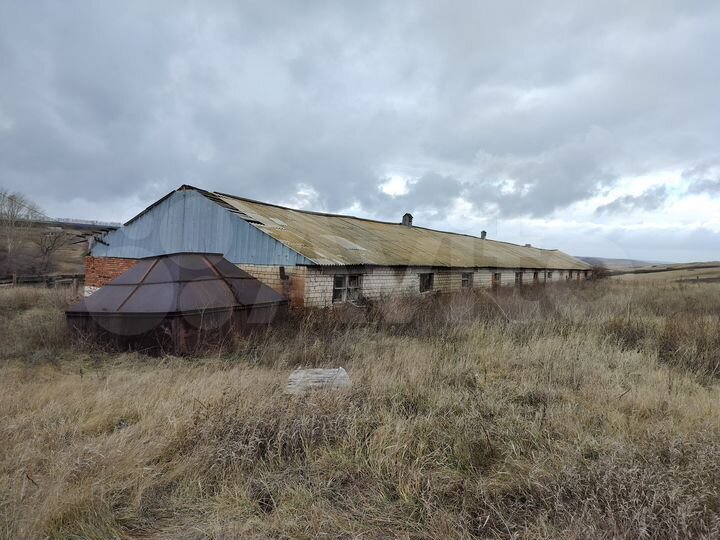 Здание, 703.4 м²