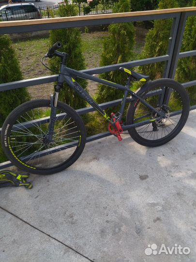 Stern energy 1.0 mtb