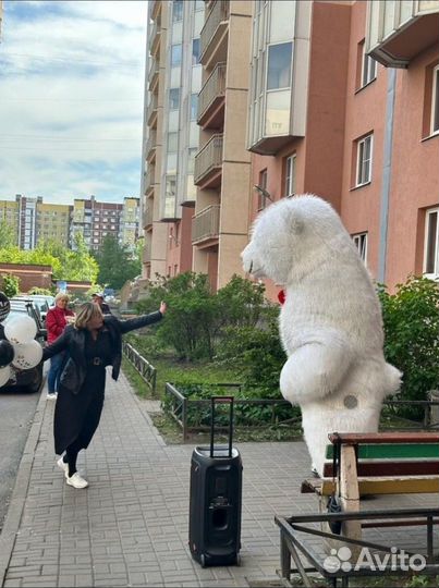 Поздравление от 3м белого Мишки (живая открытка)