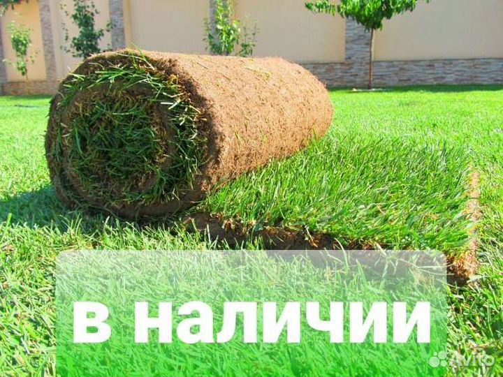 Рулонный газон