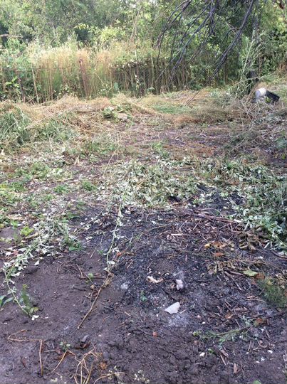 Участок 7,3 сот. (СНТ, ДНП)