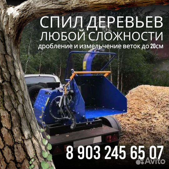 Спил и удаление деревьев
