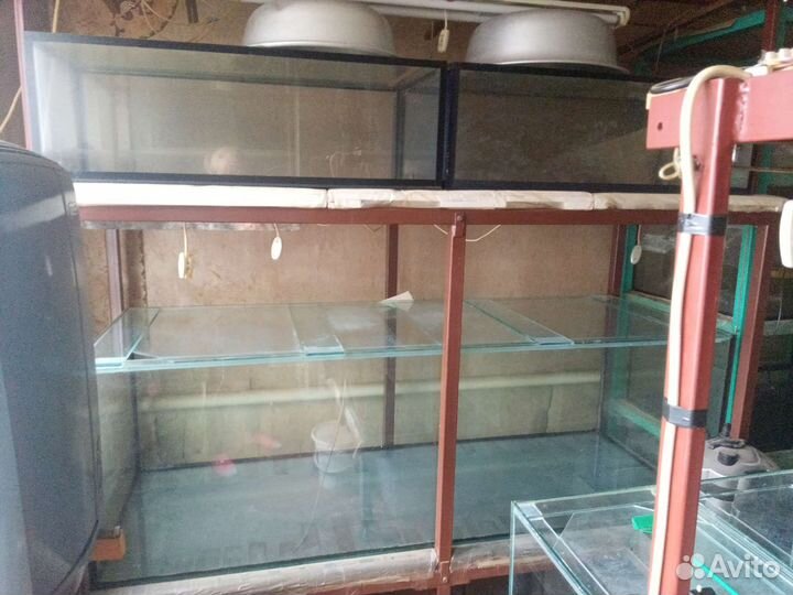 Продаю аквариумы