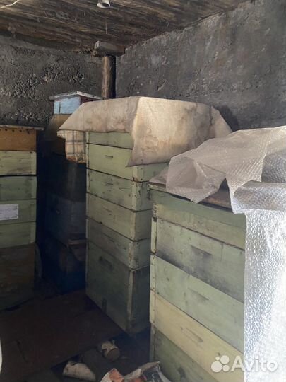 Пчелиные ульи