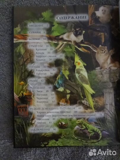 Детская энциклопедия 