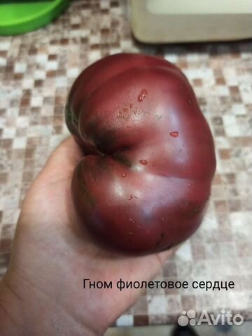 Семена редких томатов