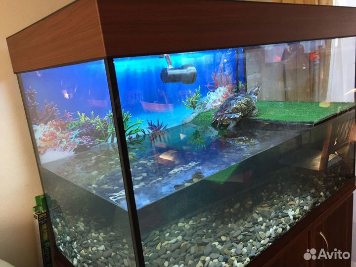 Террариум для красноухой черепахи 250 л. Новый