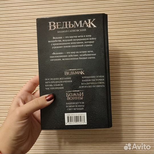 Ведьмак. Анджей Сапковский. Владычица Озера