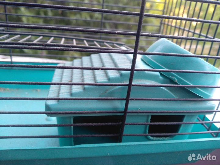 Клетка для джунгарского хомяка