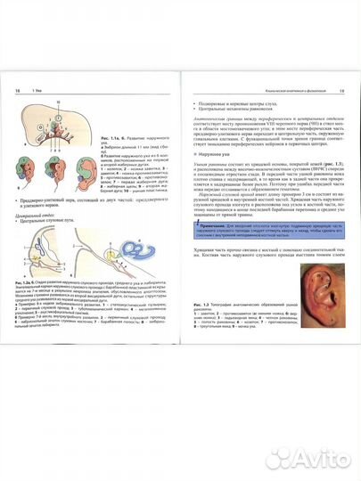 Болезни уха горла и носа