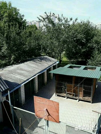 Гостиница для собак