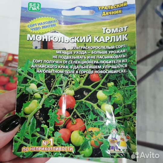 Рассада томатов для открытого грунта