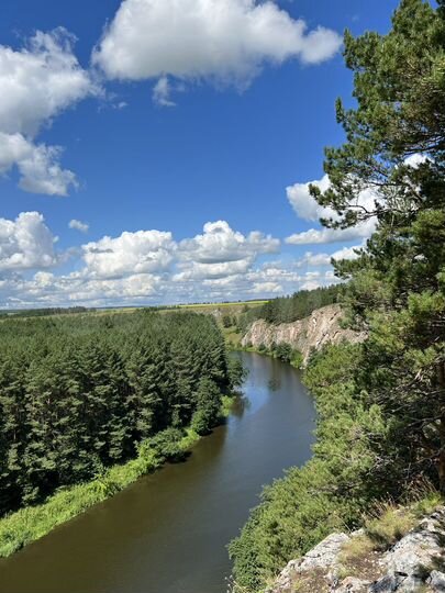 Участок 51,7 га (СНТ, ДНП)