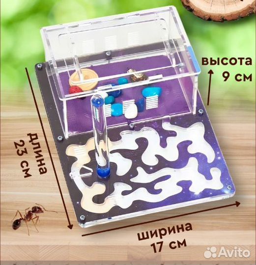 Муравьи, формикарии