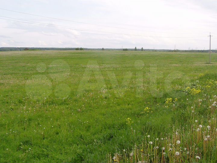 Участок 3,2 га (СНТ, ДНП)
