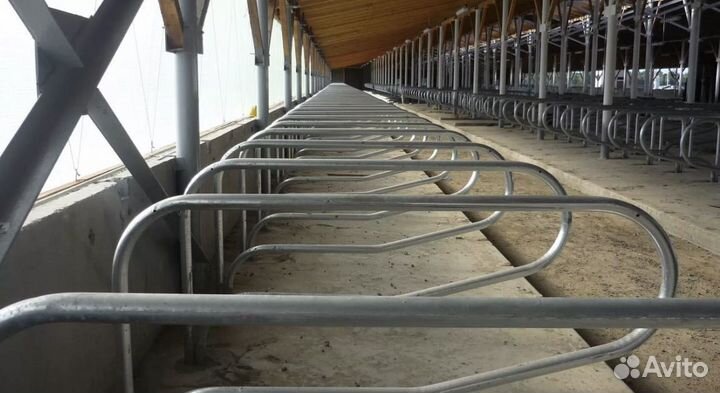 Стойловое оборудование для крс