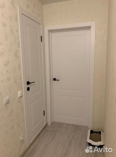 Толстая дверь межкомнатная эко с бесплатной достав