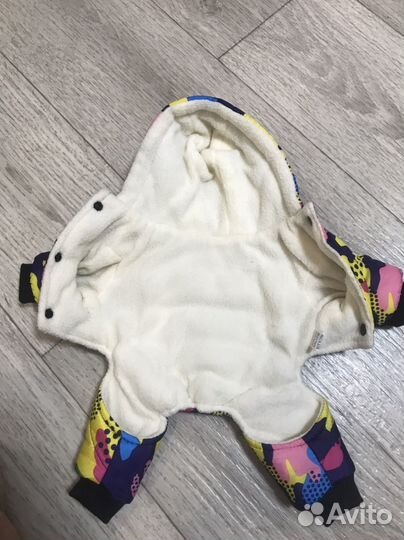 Одежда для собак мелких пород зима